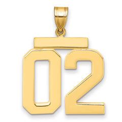 10k Large Polished Number 02 Charm