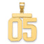10k Large Polished Number 05 Charm