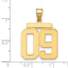 10k Large Polished Number 09 Charm