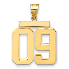 10k Large Polished Number 09 Charm
