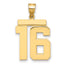 10K Yellow Gold Polished Large Number 16 Charm