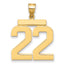 10K Yellow Gold Polished Large Number 22 Charm
