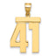 10K Yellow Gold Polished Large Number 41 Charm