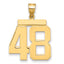 10K Yellow Gold Polished Large Number 48 Charm