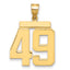 14k Large Polished Number 49 Charm