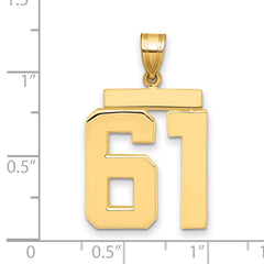10k Large Polished Number 61 Charm