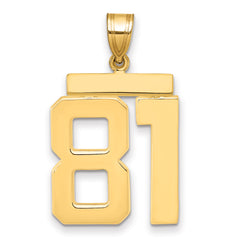 10k Large Polished Number 81 Charm