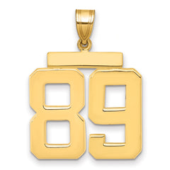 10k Large Polished Number 89 Charm