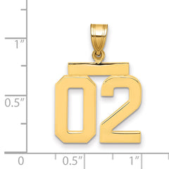 10k Medium Polished Number 02 Charm