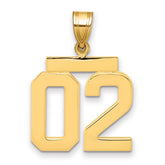 10k Medium Polished Number 02 Charm