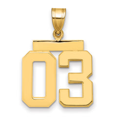 10k Medium Polished Number 03 Charm