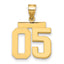 10k Medium Polished Number 05 Charm