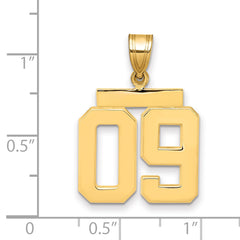 10k Medium Polished Number 09 Charm