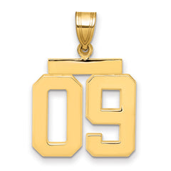 10k Medium Polished Number 09 Charm