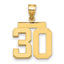 10K Yellow Gold Polished Medium Number 30 Charm