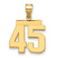 10K Yellow Gold Polished Medium Number 45 Charm