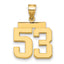 10K Yellow Gold Polished Medium Number 53 Charm