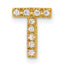 10K Diamond Letter T Initial Charm
