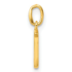 Sterling Silver Gold-tone Polished Letter J Initial Charm