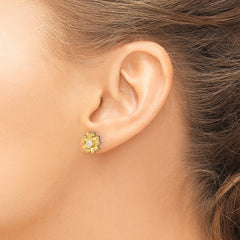 Sterling Silver Gold-tone CZ Flower Post Earrings