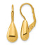 Sterling Silver Gold-tone Polished Teardrop Leverback Earrings