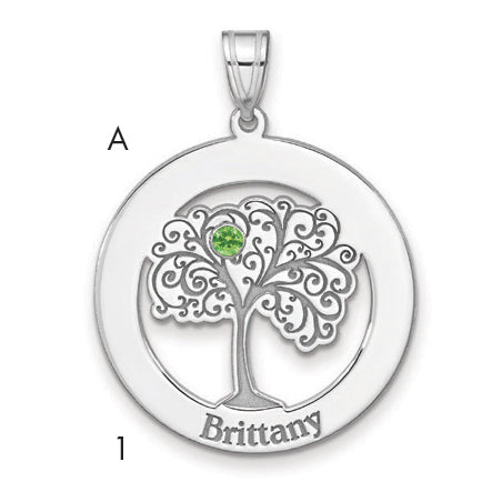 Sterling Silver/Rhodium-plated 1 Birthstone with SS Bezel Family Pendant