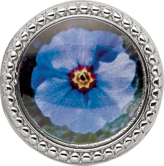 Sterling Silver Reflections Rhodium-plated February Flower Bead