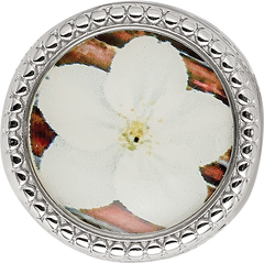 Sterling Silver Reflections Rhodium-plated May Flower Bead