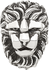 Sterling Silver Reflections Antiqued Lion Hinged Bead