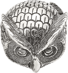 Sterling Silver Reflections Antiqued Owl Hinged Bead