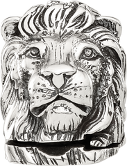 Sterling Silver Reflections Lion Hinged Bead