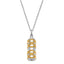 Sentimental Expressions Sterling Silver Rhodium-plated Cylinder Gold-tone Accent Ash Holder 18 Inch Necklace