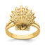 Lions Paw Shell Ring in 14K Yellow Gold, Size 5 - Sophia Jewelers