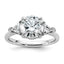 Three Stone Engagement Ring in 14K White Gold (3 1/8 ct. tw.), Size 7 - Sophia Jewelers