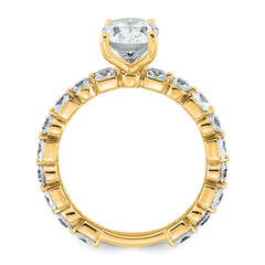 14k 3 carat Lab Grown Diamond VS+ F+ Oval Complete Engagement Ring