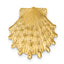 Lion's Paw Shell Omega Slide Pendant in 14K Yellow Gold, 18mm Textured - Sophia Jewelers