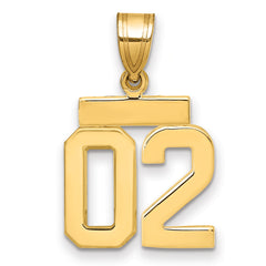 10k Small Polished Number 02 Charm