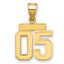 10k Small Polished Number 05 Charm