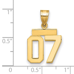 10k Small Polished Number 07 Charm