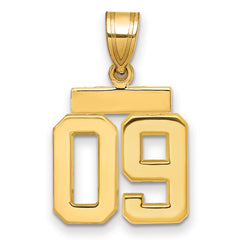 10k Small Polished Number 09 Charm