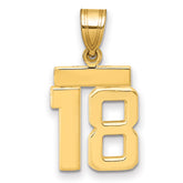 14k Small Polished Number 18 Charm