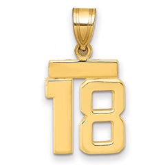 14k Small Polished Number 18 Charm