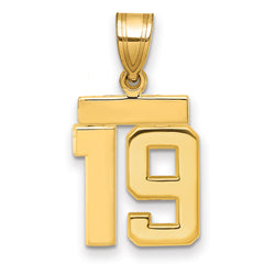 14k Small Polished Number 19 Charm