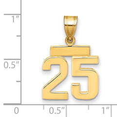 14k Small Polished Number 25 Charm
