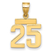 14k Small Polished Number 25 Charm