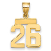 14k Small Polished Number 26 Charm