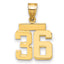 14k Small Polished Number 36 Charm