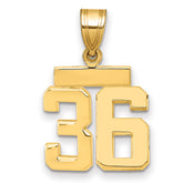 14k Small Polished Number 36 Charm
