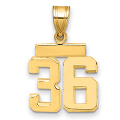 14k Small Polished Number 36 Charm