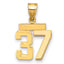14k Small Polished Number 37 Charm